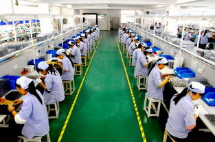 權威Lowe's驗廠咨詢機構 選豐信驗廠咨詢更專業